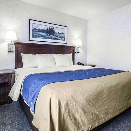 Comfort Inn Bellingham Kültér fotó