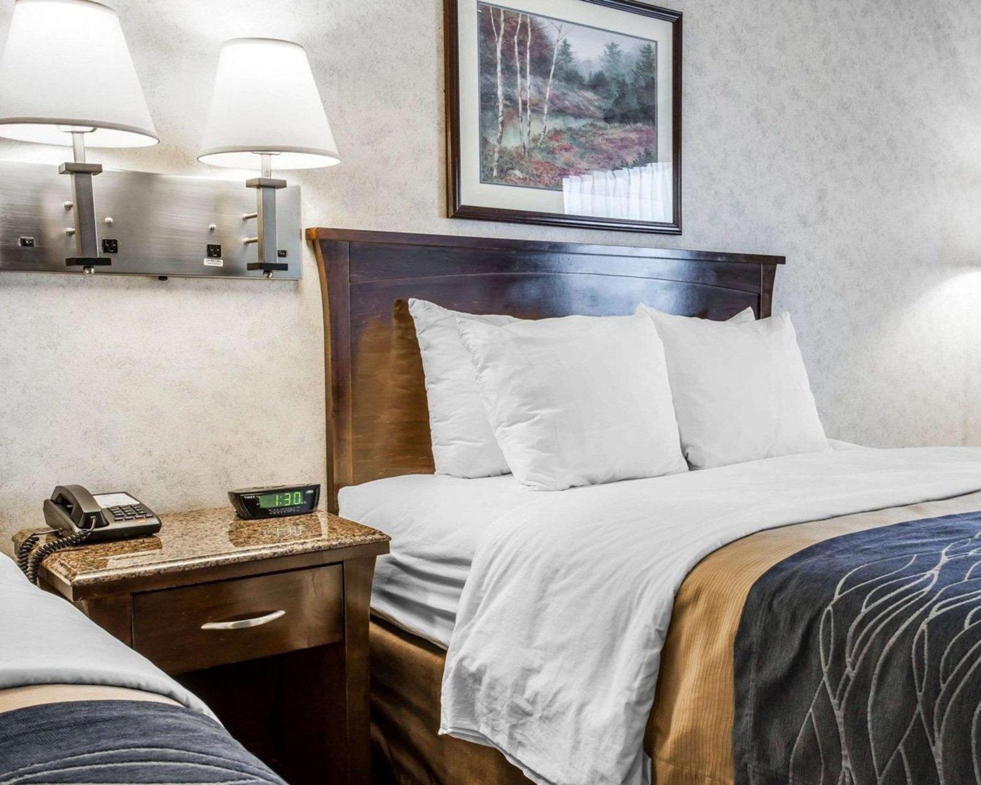 Comfort Inn Bellingham Kültér fotó