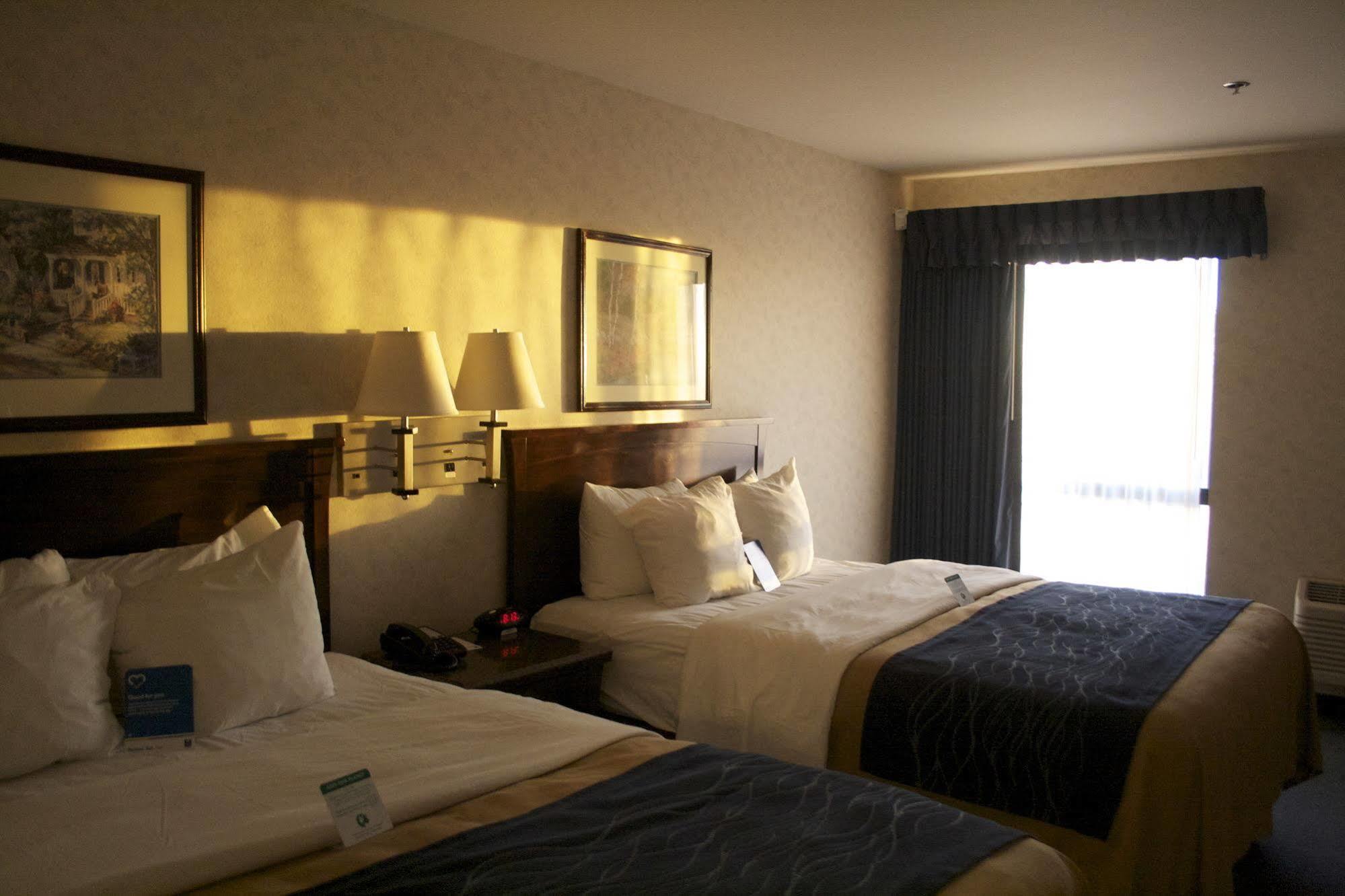 Comfort Inn Bellingham Kültér fotó